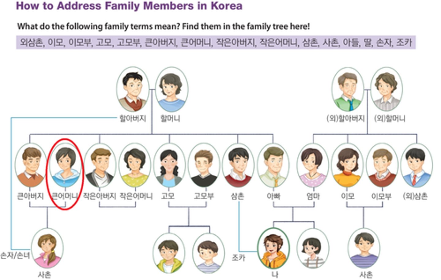 <p>bác gái (vợ của bác trai)</p>