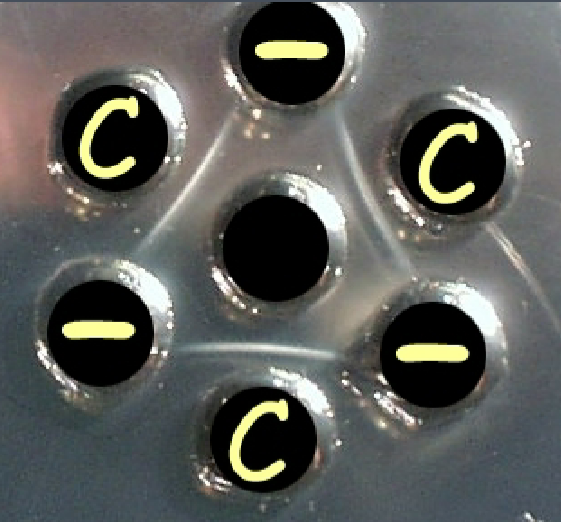 <p>Lines only form&nbsp;to serum</p>