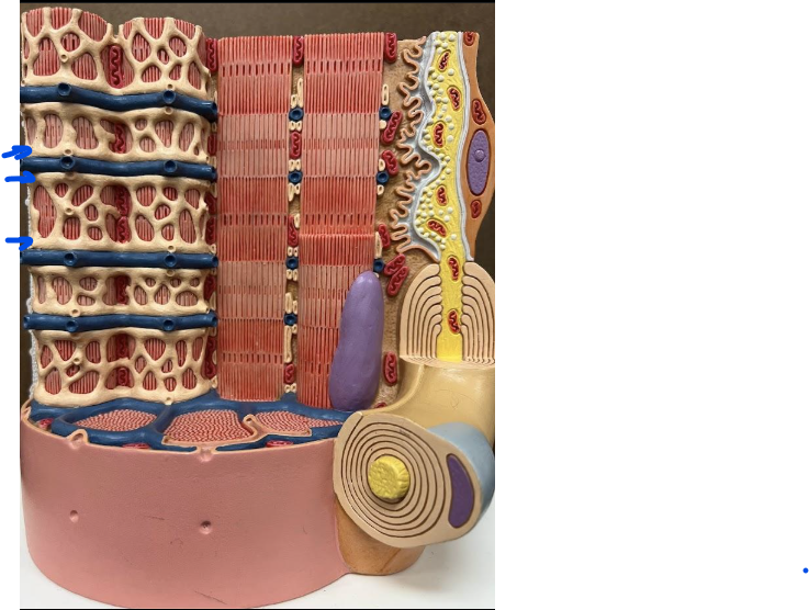 <p>What is this?</p>