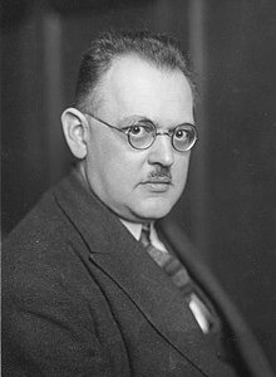 <p>- SPD member</p><p>- German Chancellor 1928-1930</p><p>- Liked by Hindenburg, who worked with the SPD</p><p>- Couldn't inspire followers or make an impact</p><p>- Passed the bill to build a battleship, despite opposition from his own party</p><p>- First SPD member since 1923</p><p>- Last parliamentary Chancellor</p>