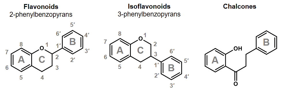 <p>isoflavnoids (2nd )</p><p>flavanoids (3 rd)</p><p></p><p>may include chalcones</p><p></p>
