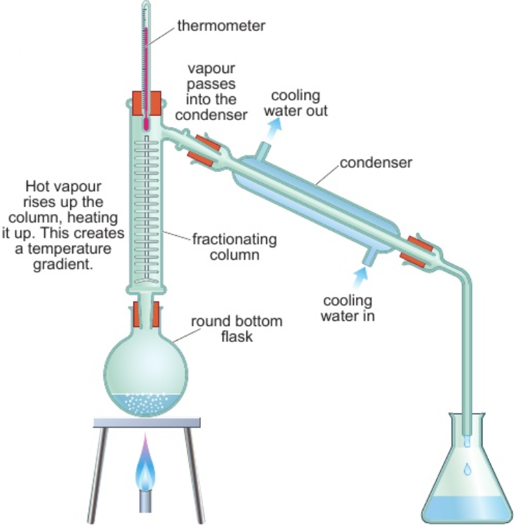 <p>liquids with lower boiling points evaporate first</p><p>first fraction collected contains liquid with lowest boiling point</p><ol><li><p>hot vapour rises up column</p></li><li><p>as column heats up, temp. gradient - bottom = hottest, top = coldest</p></li><li><p>fraction with lowest bp. reaches top first - vapour → condenser</p></li><li><p>keep heating - fractions with higher bps. rise up column &amp; collected</p></li></ol><p></p>