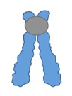 <p>What type of chromosome is this?</p>