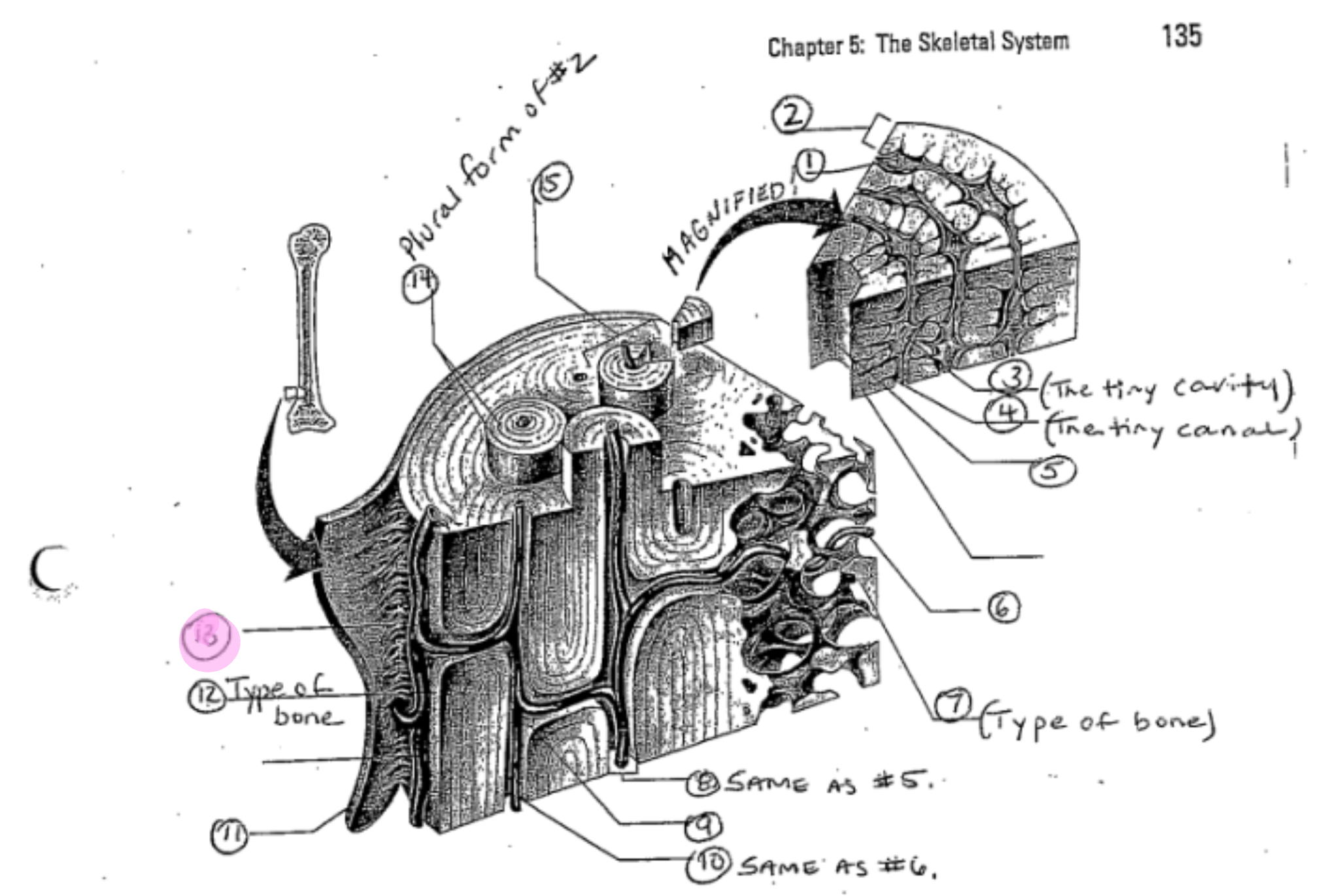 term image