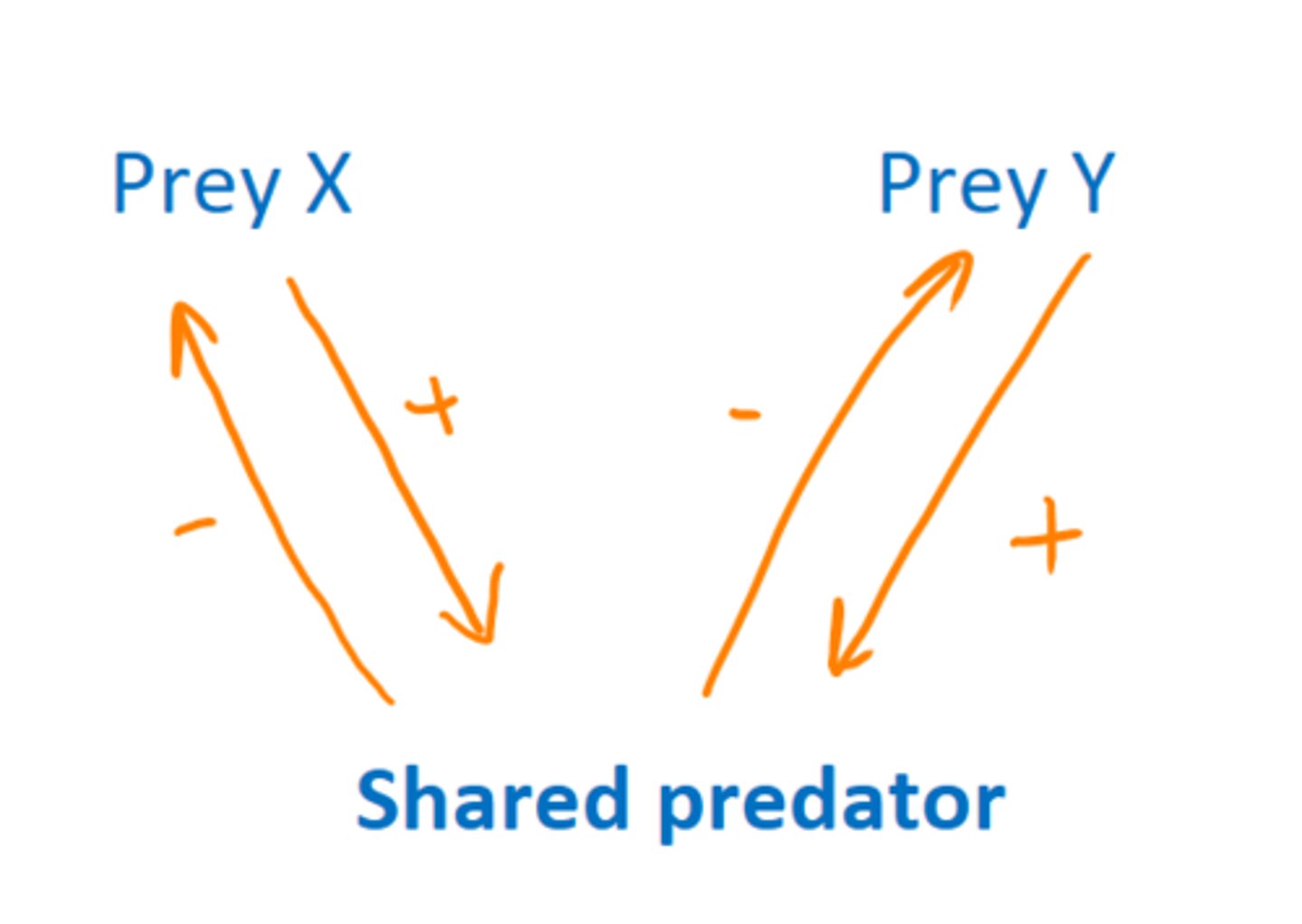 <p>negative effects as a result of two species sharing a predator or herbivore or as a consequence of one species facilitating populations of a predator or herbivore of a second species</p><p>net negative interaction between both preys.</p>
