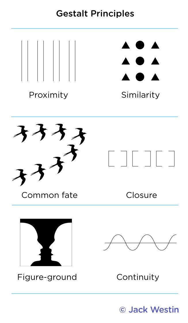 <p><strong><u>Gestalt’s Principles</u></strong></p><ul><li><p><strong>Describe</strong> how our brains tend to <strong>organize visual information into whole forms</strong> ("gestalts") rather than perceiving isolated parts.</p></li><li><p class="">Based on the idea that "<strong>the WHOLE is GREATER than the SUM of its parts</strong>."</p></li><li><p class="">Applies mostly to <strong>visual perception</strong>, but also to <strong>auditory and cognitive grouping</strong></p></li><li><p class="">Key figures: <strong>Max Wertheimer</strong>, <strong>Wolfgang Köhler</strong>, and <strong>Kurt Koffka</strong>; COGNITIVE APPROACH</p></li></ul><table style="min-width: 398px"><colgroup><col style="width: 129px"><col style="width: 244px"><col style="min-width: 25px"></colgroup><tbody><tr><th colspan="1" rowspan="1" colwidth="129"><p><strong>Principle</strong></p></th><th colspan="1" rowspan="1" colwidth="244"><p><strong>Definition</strong></p></th><th colspan="1" rowspan="1"><p><strong>Example</strong></p></th></tr><tr><td colspan="1" rowspan="1" colwidth="129"><p><strong>Similarity</strong></p></td><td colspan="1" rowspan="1" colwidth="244"><p>We group similar elements together</p></td><td colspan="1" rowspan="1"><p>Columns of circles vs triangles seen as groups, not rows</p></td></tr><tr><td colspan="1" rowspan="1" colwidth="129"><p><strong>Proximity</strong></p></td><td colspan="1" rowspan="1" colwidth="244"><p>We group objects that are close together</p></td><td colspan="1" rowspan="1"><p>Dots that are near each other are perceived as one group</p></td></tr><tr><td colspan="1" rowspan="1" colwidth="129"><p><strong>Continuity</strong></p></td><td colspan="1" rowspan="1" colwidth="244"><p>We perceive lines and patterns as continuing smoothly</p></td><td colspan="1" rowspan="1"><p>A curved line crossing a straight one is seen as two continuous paths</p></td></tr><tr><td colspan="1" rowspan="1" colwidth="129"><p><strong>Closure</strong></p></td><td colspan="1" rowspan="1" colwidth="244"><p>We fill in missing parts to perceive a complete, whole object</p></td><td colspan="1" rowspan="1"><p>A triangle formed by broken lines is still seen as a triangle</p></td></tr><tr><td colspan="1" rowspan="1" colwidth="129"><p><strong>Prägnanz (Simplicity)</strong><br>_____________</p><p><strong>Common Fate</strong></p><p></p><p>______________</p><p><strong>Figure Ground</strong></p></td><td colspan="1" rowspan="1" colwidth="244"><p>We perceive complex images in the <strong>simplest form possible</strong></p><p><strong>_____________________________</strong></p><p class="">Elements that <strong>move together</strong> are perceived as part of the same group.</p><p class="">____________________________</p><p class="">We tend to separate a visual scene into a <strong>figure (object of focus)</strong> and a <strong>background</strong>.</p></td><td colspan="1" rowspan="1"><p>Five interlocking rings are seen as five circles (not complex shapes)</p><p>________________________________</p><p class="">A flock of birds flying in the same direction looks like one unit.</p><p class=""><br>________________________________</p><p class=""> In the Rubin vase illusion, you either see a vase (figure) or two faces (ground), depending on what you focus on.</p></td></tr></tbody></table><p></p>