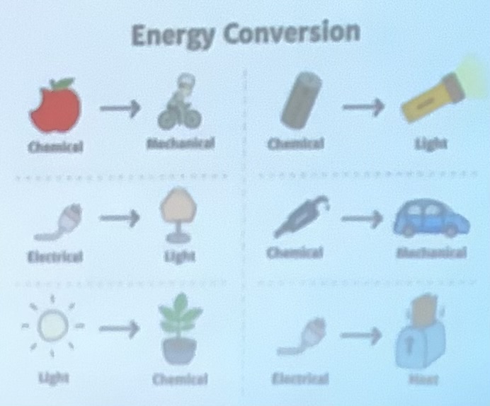 <p>plugging in a a fan</p><p>burning wood</p><p>photosynthesis</p>
