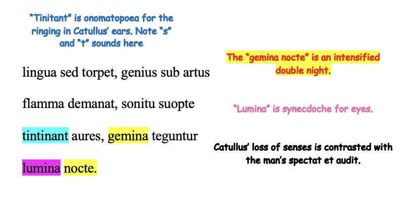 <p>But my tongue is paralysed, a slender flame</p><p>Spreads down through my limbs, my ears ring</p><p>with their own sound, and my eyes are covered by</p><p>a double night.</p>