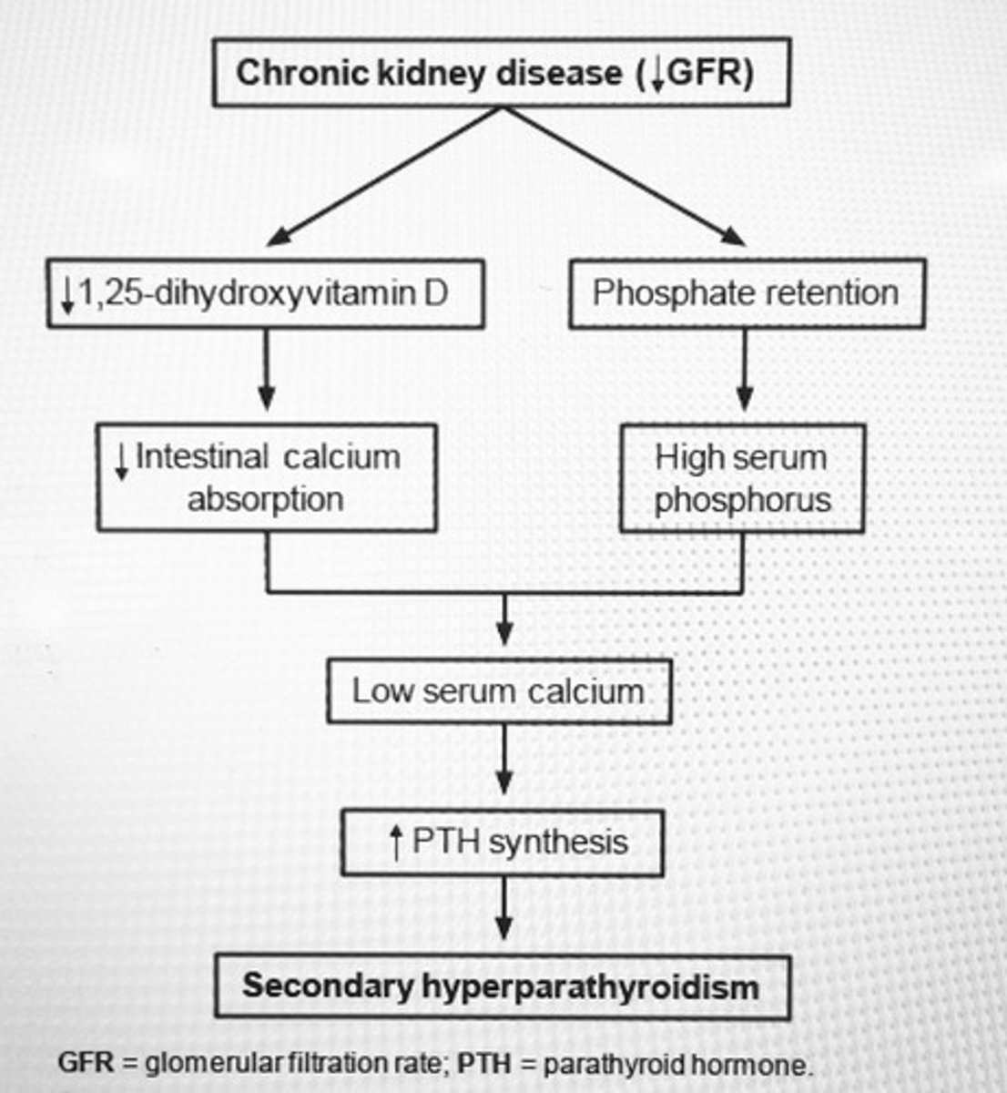 <p>Chronic renal failure</p>