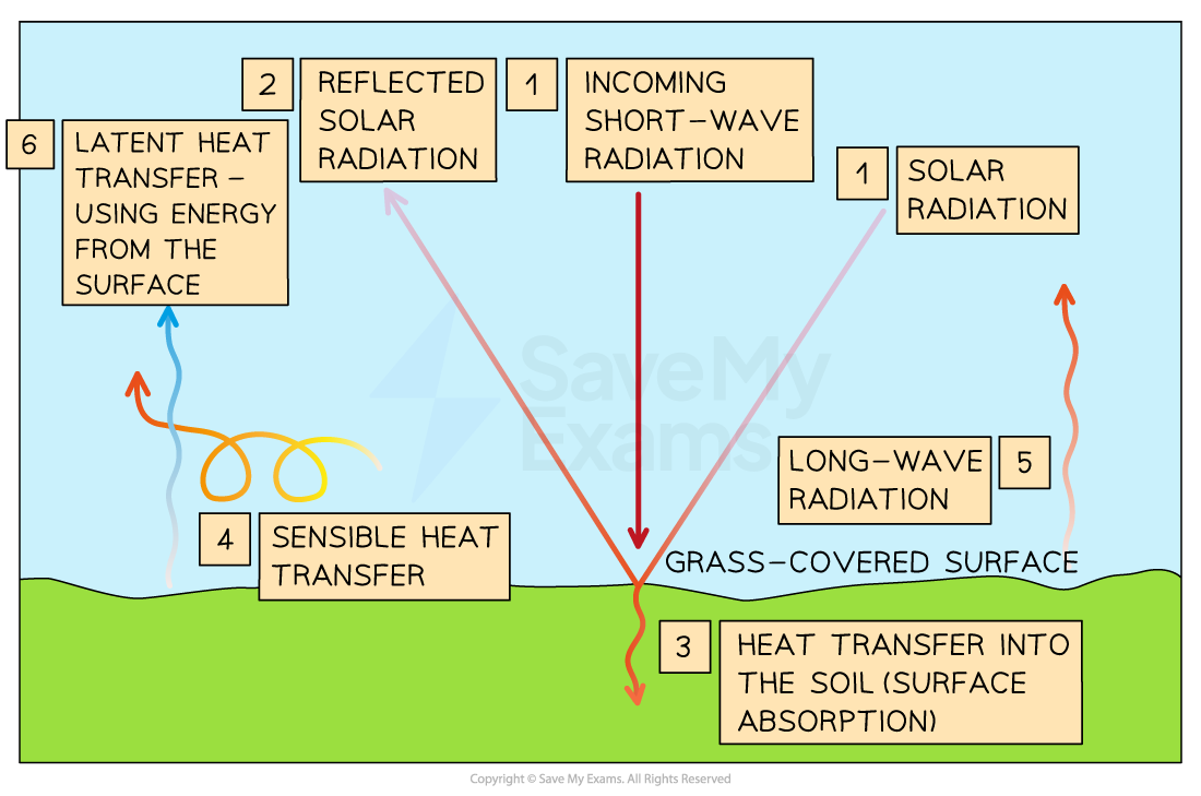 <ol><li><p>Incoming Shortwave solar radiation (insolation): influeneced by cloud cover + dust in the atmosphere</p></li><li><p>Reflecetd solar radiation: Albedo effect = cooling effect</p></li><li><p>Surface absorbtion: dark surfaces such as soil absorbs heat = warming effect</p></li><li><p>Sensible heat transfer: loss or gain of energy without a phase chnage (convection + conduction)</p></li><li><p>Longwave radiation” emitted by the surface and passes into the atmosphere</p></li><li><p>Latent heat transfer: phase change, evaporation= cooling, condensation=warming effect</p></li></ol><p></p>