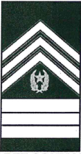 <p>CSM</p>