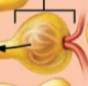 <p>what is this?</p>