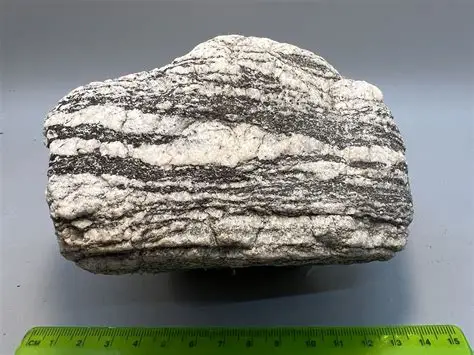 <p>#49, metamorphic, foliated</p>