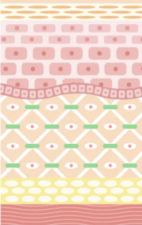 <p><strong><span style="color: yellow">Dermis</span></strong></p>