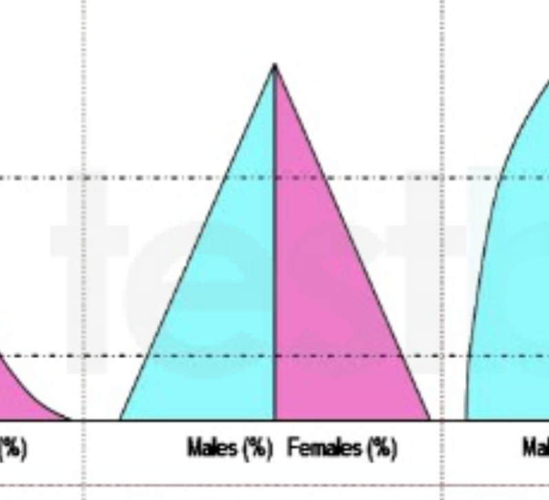 <p>Late expanding </p><ul><li><p>birth rate drops and death rate stays low </p></li><li><p>Population growth continues but slower </p></li></ul>