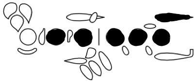 <p>E</p>