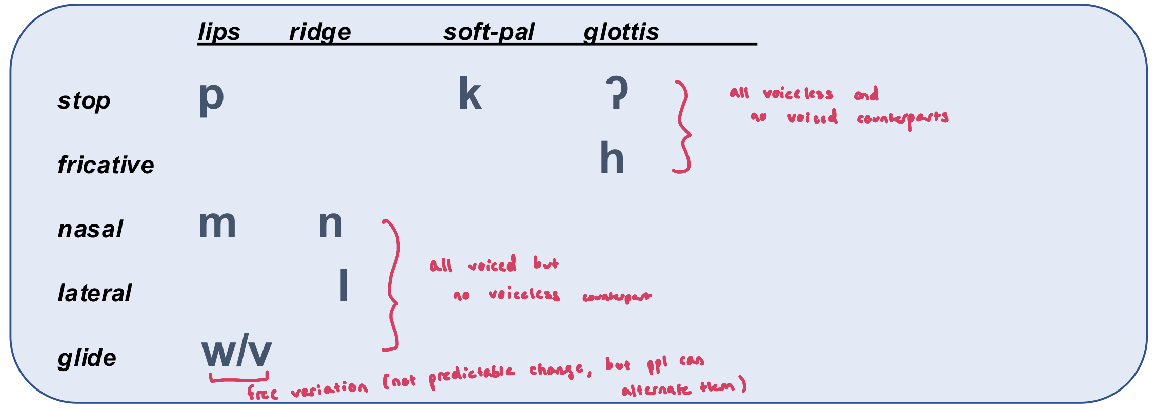 <ul><li><p>some Hawaiian words in Hawaiian writing system are close to IPA</p><ul><li><p>glottal stop is apostrophe</p></li></ul></li><li><p>8 total consonant phonemes</p></li><li><p>small system</p></li><li><p>voice is not a distinctive feature</p></li><li><p>/w/ is in free variation with /v/ (not predictable, people just vary)</p></li></ul><p></p>