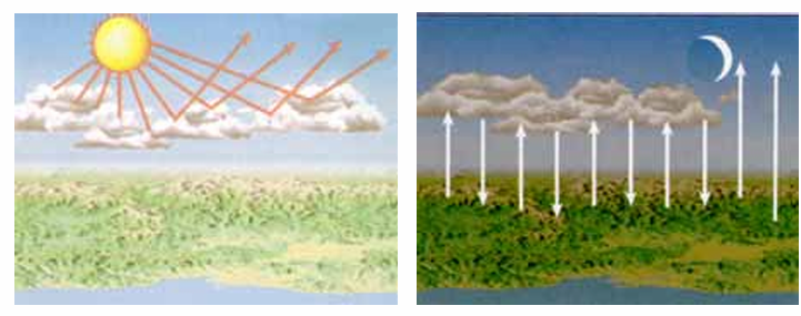 <p><span>Las nubes tienen doble efecto:</span></p><ul><li><p><span><strong>Reflejan radiación solar</strong> (longitudes de onda corta).</span></p></li><li><p><span><strong>Reflejan las longitudes de onda larga de la Tierra</strong> (efecto invernadero).</span></p></li></ul><p><span>T es baja en noches sin nubes, ya que las nubes reflejan la temperatura de la Tierra (se queda atrapada la energía térmica) y se mantiene caliente mientras que reflejan la radiación fría espacial que llega de noche impidiendo que enfríe la superficie.</span></p>