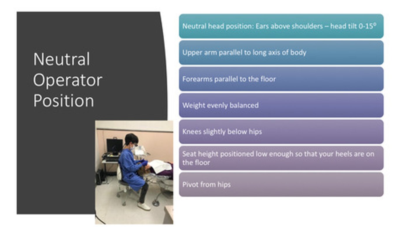 <p>1) neutral head position: ears above shoulders - head tilt of 0-15 degrees</p><p>2) upper arm parallel to long axis of body</p><p>3) forearms parallel to the floor</p><p>4) weight evenly balanced</p><p>5) knees slightly below hips</p><p>6) seat height positioned low enough so that your heels are on the floor</p><p>7) pivot from hips</p>