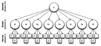 <p><span>a model for classifying and describing human cognitive abilities; it merges a hierarchical model of intelligence (some abilities having a broader scope than others) and the concept of crystallized intelligence (using learning) an fluid intelligence (using cognitive abilities)&nbsp;</span></p>