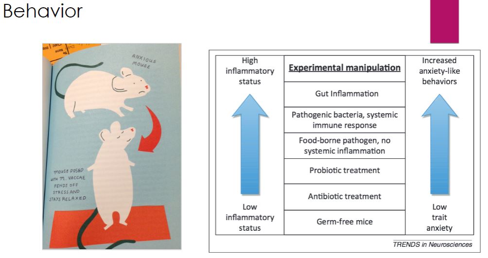 <p>Parkinson Disease -Germ free mice are more laid back then normal mice. -autism was also experiment like the obesity and resulted teh same.</p>