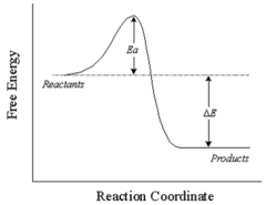 <p>Exothermic</p>