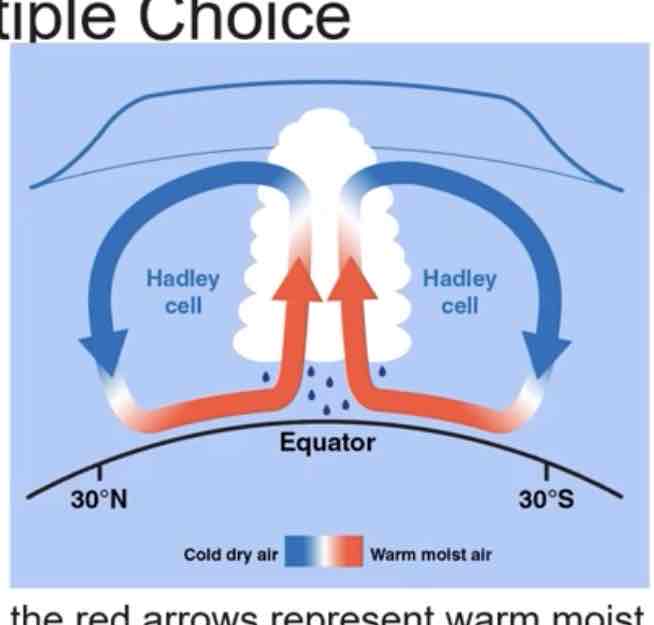 <p><span>In the diagram shown, the red arrows represent warm moist air. That warm air rises because ________?</span></p>