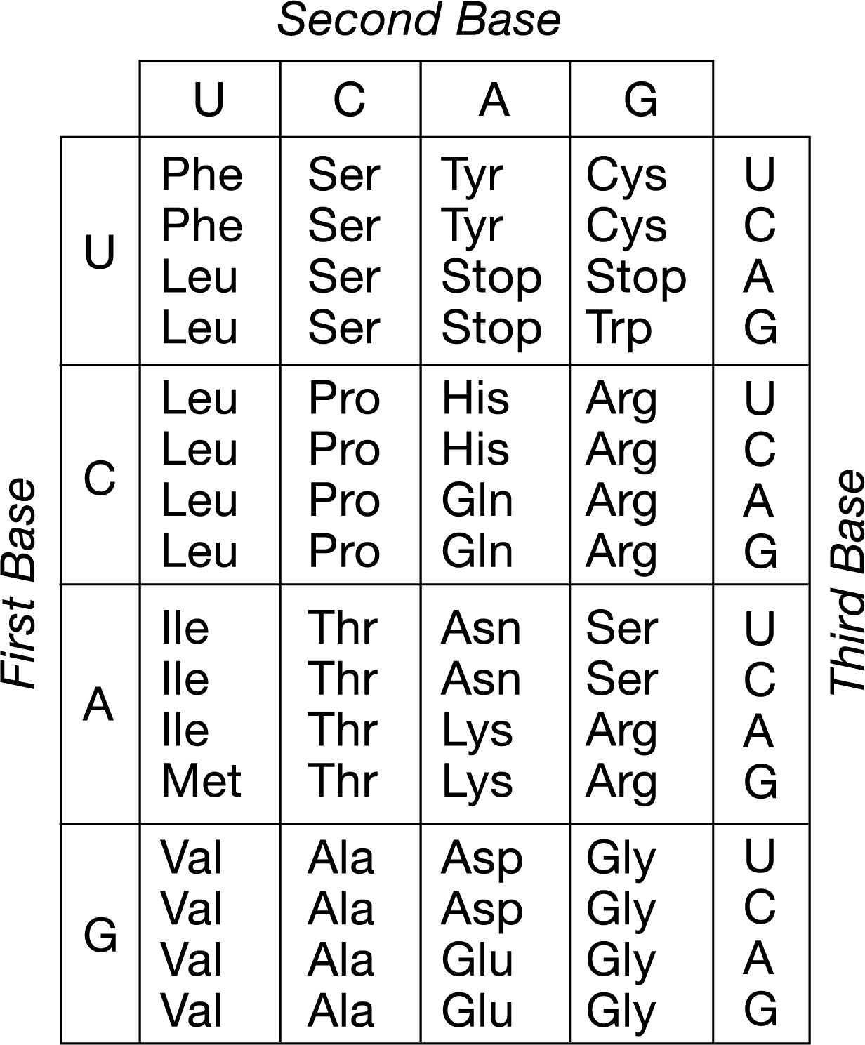 <p>A particular genetic disorder results from a single change in the amino acid sequence coded for in a gene. Parts of the sequence in normal and mutated genes are shown below.</p><table style="minWidth: 50px"><colgroup><col><col></colgroup><tbody><tr><td colspan="1" rowspan="1"><p>Normal:</p></td><td colspan="1" rowspan="1"><p><span>TAC CTC GTG GAC TGA GGT CTC</span></p></td></tr><tr><td colspan="1" rowspan="1"><p>Mutated:</p></td><td colspan="1" rowspan="1"><p>TAC CTC GTG GAC TGA GGT CAC</p></td></tr></tbody></table><p><span>Based on the codon chart above, which of the following amino acid changes is most likely found in the mutated protein?</span></p><p><span>A) Glu→Val</span></p><p><span>B) Val→Glu</span></p><p><span>C) Glu→Pro</span></p><p>D) Pro→Val</p>