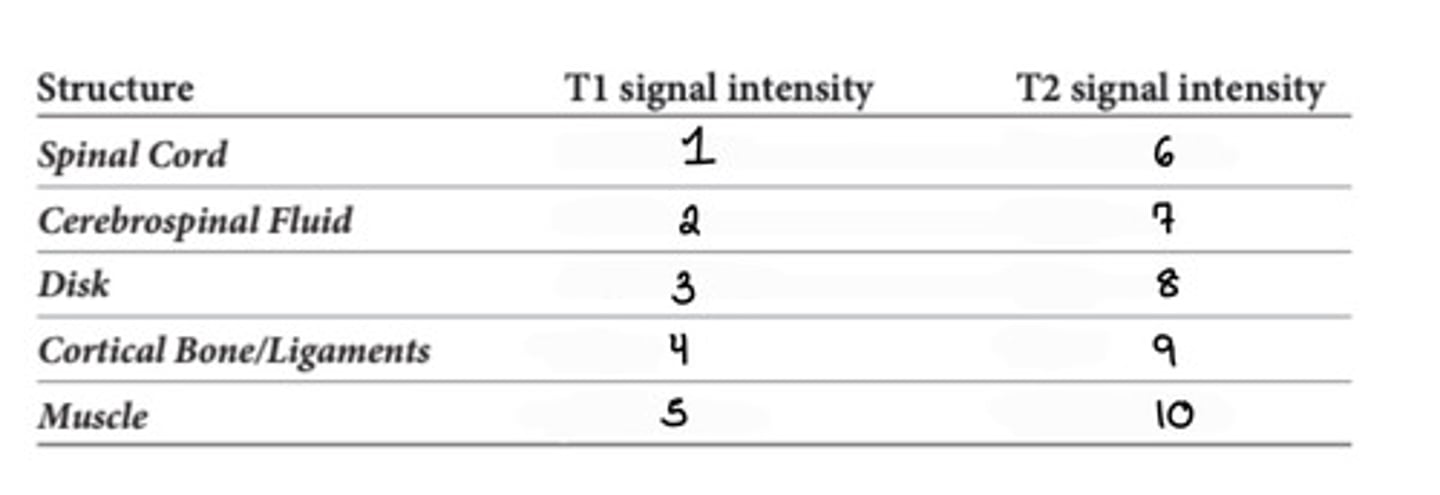 <p>What is 6?</p>