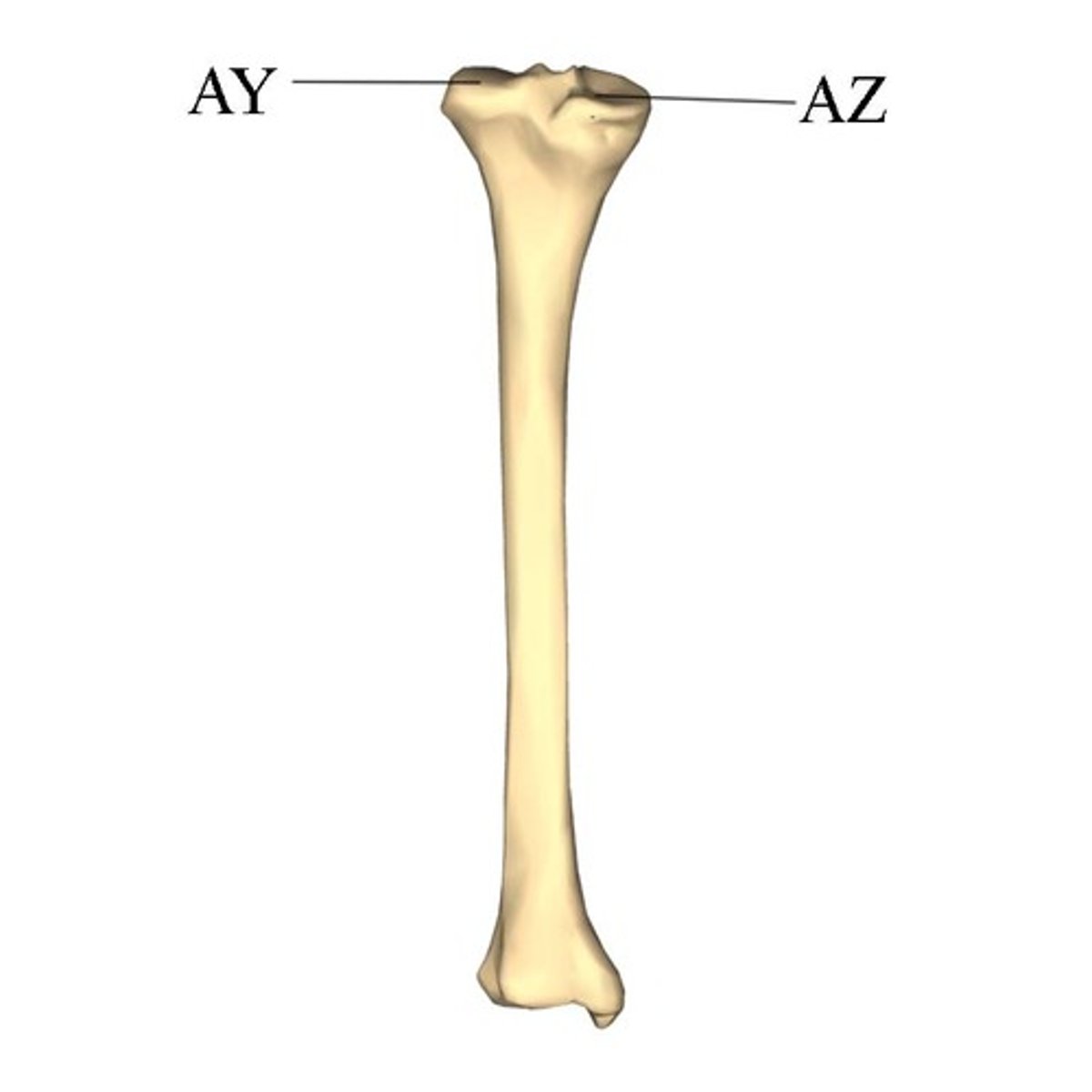 <p>right or left?</p>