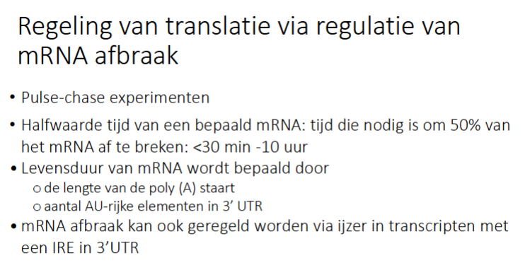 <ul><li><p>lengte polyAstaart</p></li><li><p>aantal AU-rijke elementen in 3’ UTR (hoe meer, hoe minder stabiel)</p></li></ul><p></p>