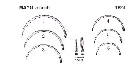 <p>A. Mayo</p><p>Quick comparison: </p><ul><li><p><strong>Mayo:</strong> Heavy, curved, tapered — fascia, muscle (correct here)</p></li><li><p><strong>Ferguson:</strong> Heavy, curved, but usually a cutting needle, less tapered</p></li><li><p><strong>Keith:</strong> Small, sharp, straight or slightly curved — skin</p></li><li><p><strong>Arterial:</strong> Small, sharp — delicate vascular tissue</p></li></ul><p></p>