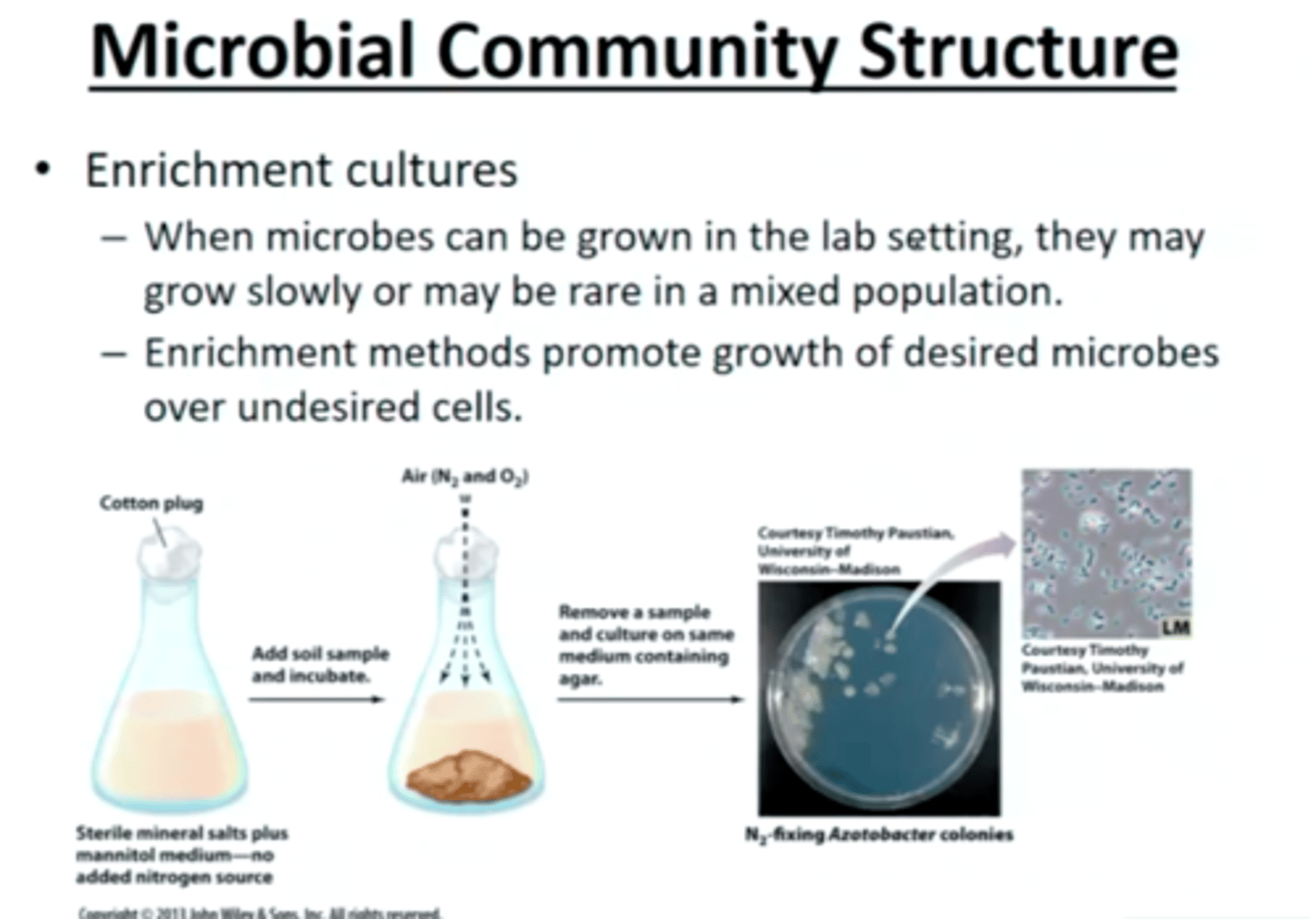 <p>promote growth of desired organism; only represents a fraction present</p>