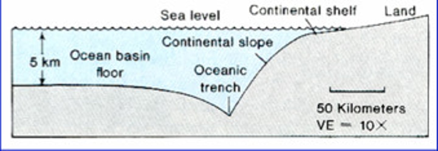 <p>a continental margin that coincides with a plate boundary</p><p>younger, less sediment supply</p>