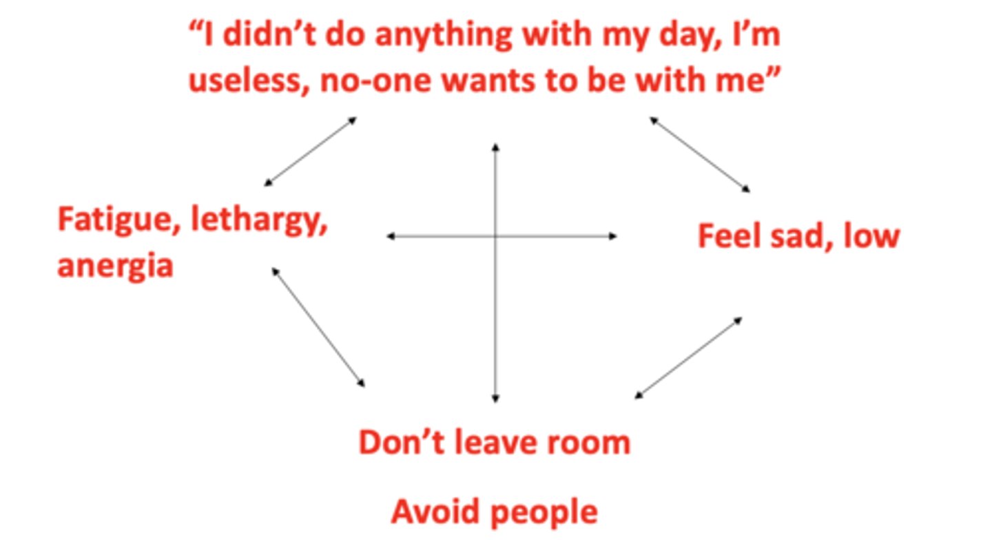 <p>Initial treatment for severe depression, important for all severities.</p><p>- Helps outline the mechanism behind the behaviour and how it makes you feel. </p>