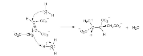 <p><span>This mechanism will be studied in a later chapter.</span></p>