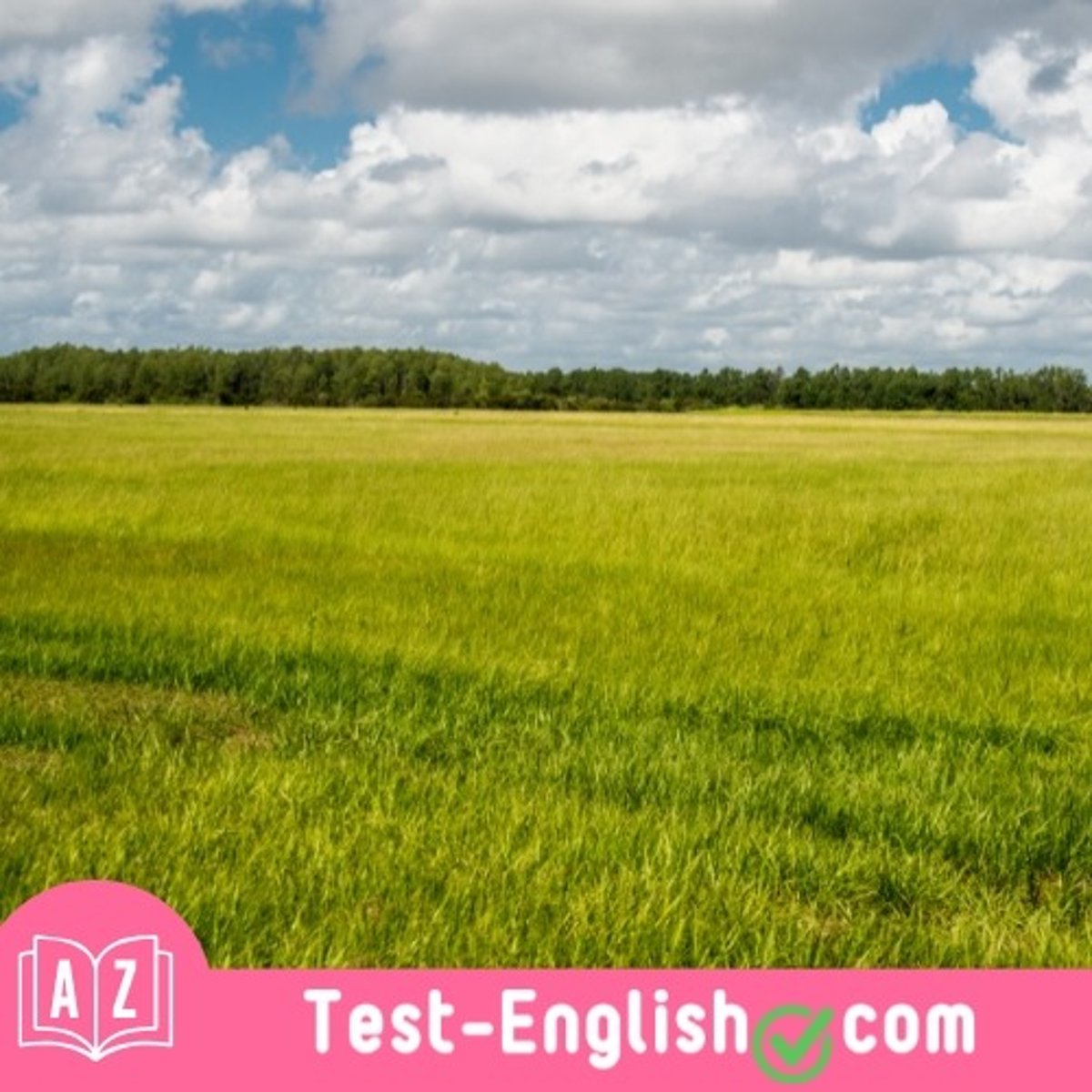 <p>The farmer grows wheat and potatoes in this _____.</p>