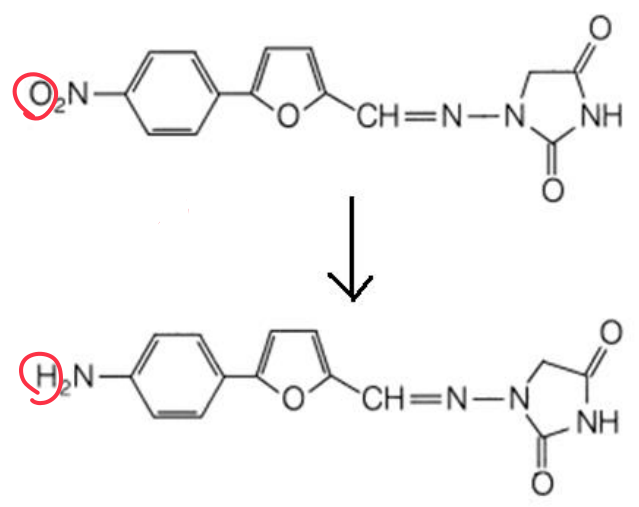 <p>Determine the metabolic reaction</p>