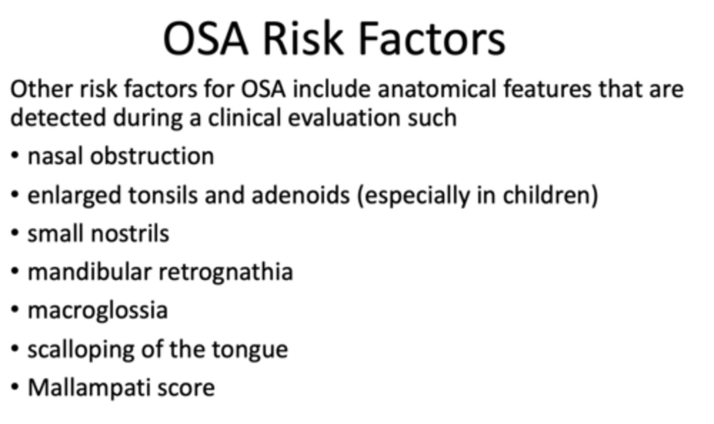<p>Obstructive Sleep Apnea (OSA)</p>