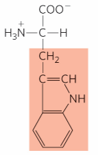 <p>What is this?</p>