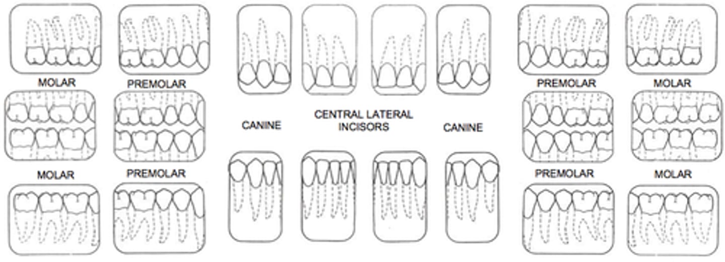 <p>as a baseline on the health of your mouth</p>