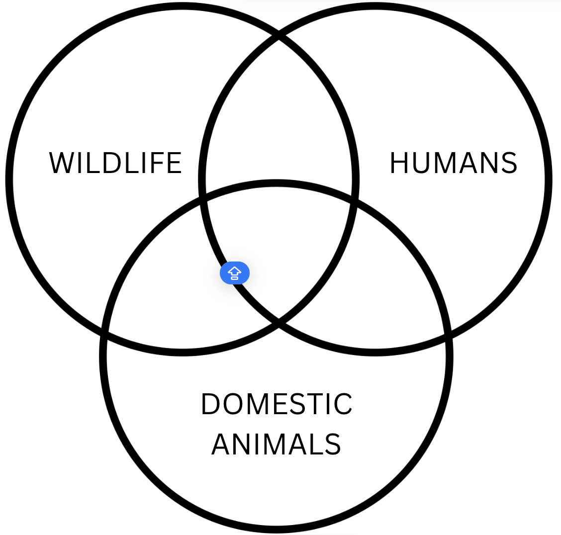 <ul><li><p>Balancing Mechanisms</p><ul><li><p>to limit impact of diseases</p></li></ul></li><li><p>Human Activities</p><ul><li><p>alter mechanisms, change impacts</p><ul><li><p>wildlife management</p></li><li><p>hobbies and recreation</p></li><li><p>rehabilitation</p></li></ul></li></ul></li></ul><p></p>