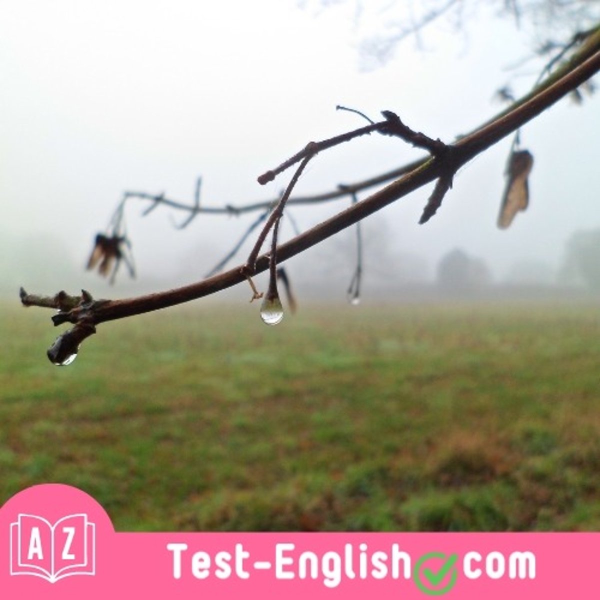<p>It's _____ outside. It's slightly wet, and it's unpleasant.</p>