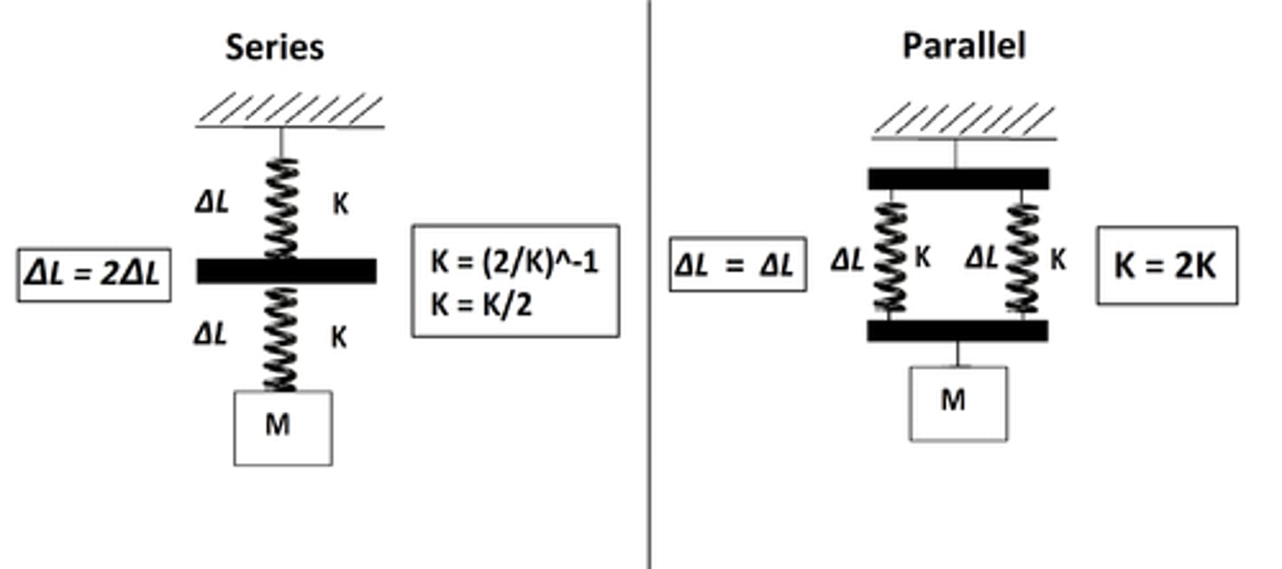 <p>Our extension doubles from springs if we two identical springs that are in series, as they both experience the weight pulling them down, while our extension halves when we have two identical springs in parallel as the weight pulling down is shared between them.</p><p>You can see spring constant halves for a series of springs making it less stiff and vice versa for parallel springs.</p>