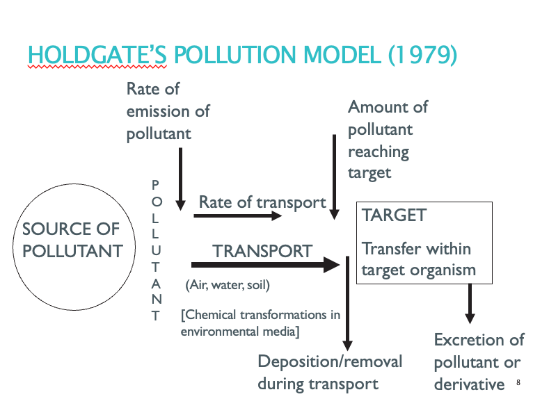 <p>Notes:</p><p>No reason why pollutant can’t travel through air/water/soil at some point.</p><p>Chemical transformations may amplify/reduce impact.</p><p>Not all pollutants reaches target (deposition).</p>
