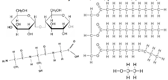 <p>- Main fuels = carbohydrates, fats, proteins, (alcohol)</p><p>- These contain lots of reduced bonds</p><p>- electrons are not shared with Oxygen (C-H, C-C or C-N)</p><p></p><p>- oxidised bonds are gain of bonds to more electronegative atoms or loss of bonds to less electronegative atoms like hydrogen (signifies oxidation) (this increases oxidation state of carbon atom in question)</p>
