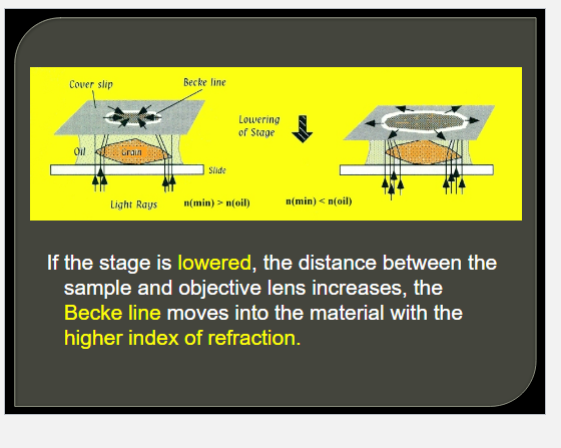 <p>A rim of light alonf the edge of grain</p><p>best seen under highest mag power</p><p>lower the stage to see movement of beckeline</p><p>tips: 1. focus the mineral before doing test</p><ol start="2"><li><p>adjust the light intensity to best reveal becke line</p></li></ol><p></p>