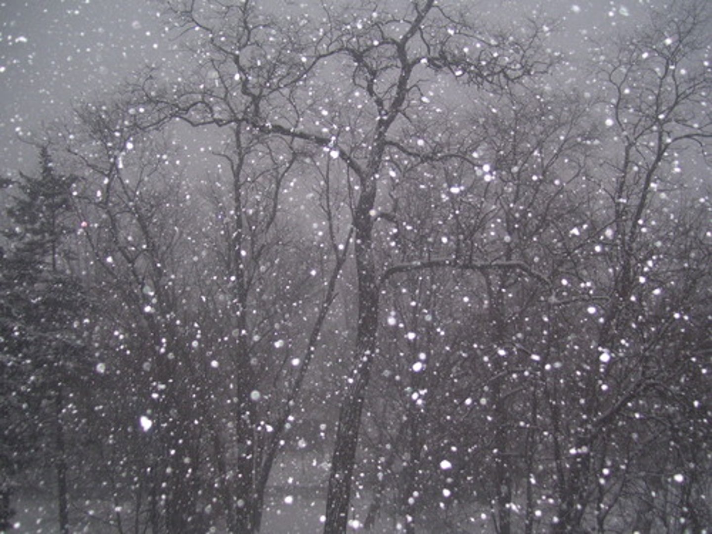 <p>Está nevando.</p>