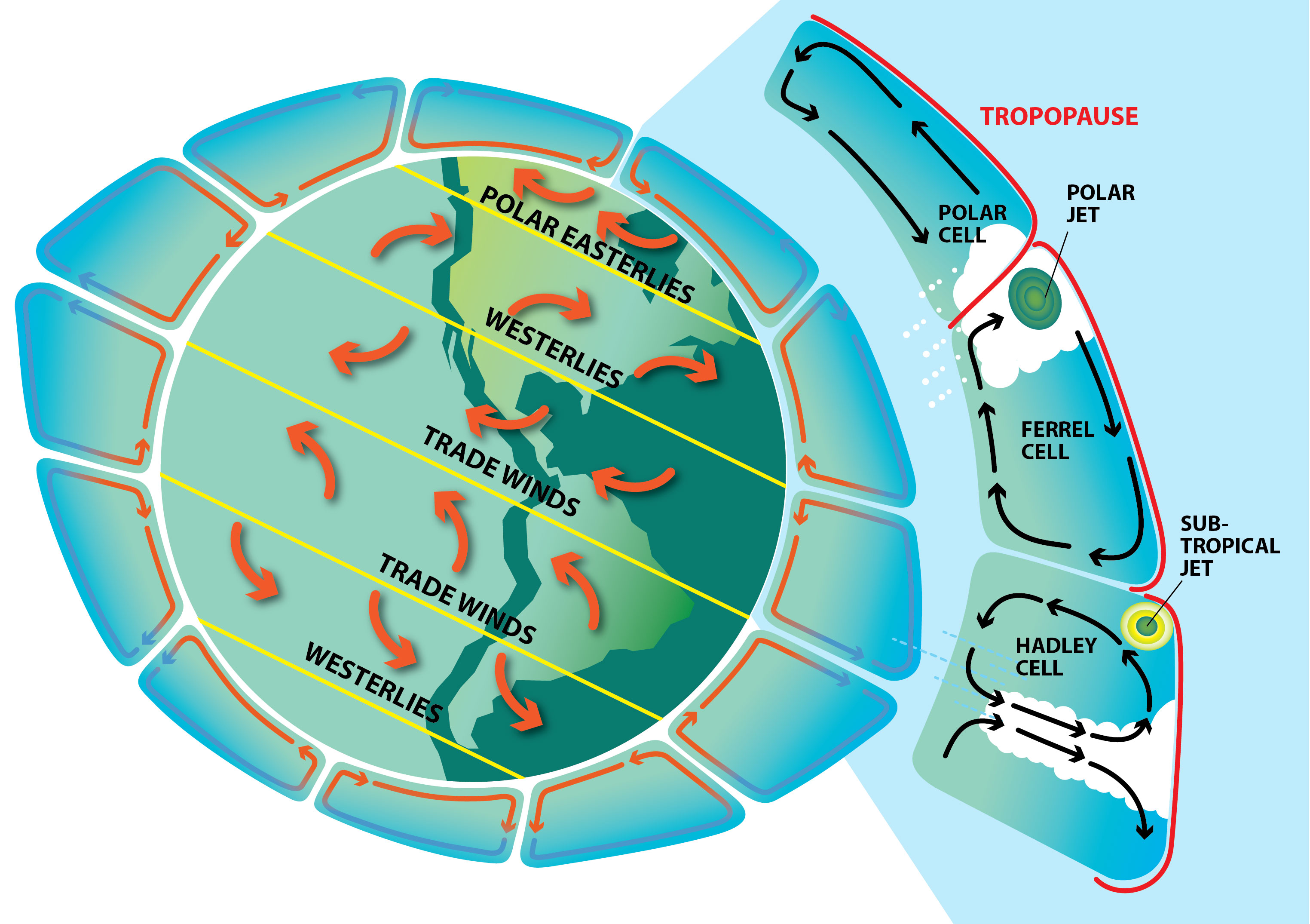 <p>Hadley Cell</p>