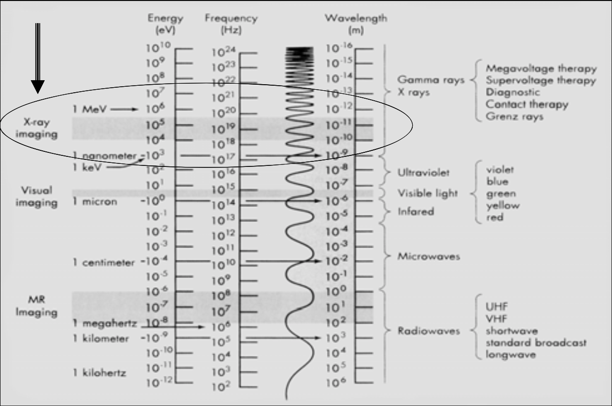 <ul><li><p><span><strong>Energy is always transferred to any material with which it interacts<br></strong></span></p><ul><li><p>Since high energy EM can ionize atoms (disrupt DNA), there are safety concerns</p></li><li><p><strong><u>IF there is an interaction, energy is transferred (likely disrupting DNA)</u></strong></p></li><li><p>But if the X-Ray passes through without interaction, there no energy transferred and everything is okay (no harm, no foul)&nbsp;</p></li></ul></li></ul><p></p>